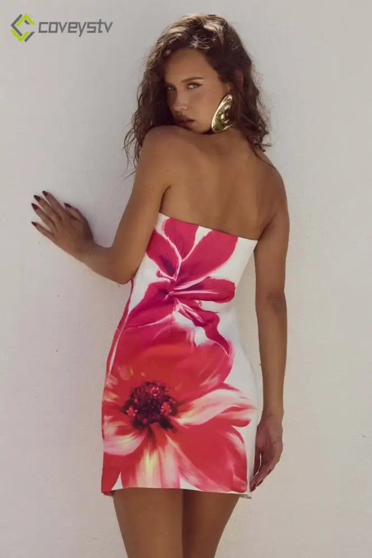Strapless Patchwork Backless Club Mini Dress